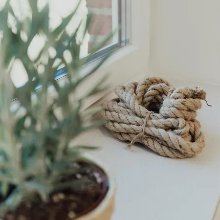 Sturmmoewe Erdgeschoss